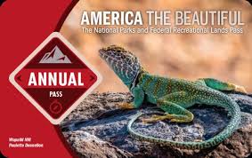 America the Beautiful pass 2025